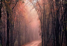 天涯神贴背后的真实故事，老铁你肯定不知道！