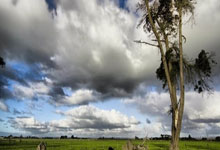 天涯神贴那些神贴